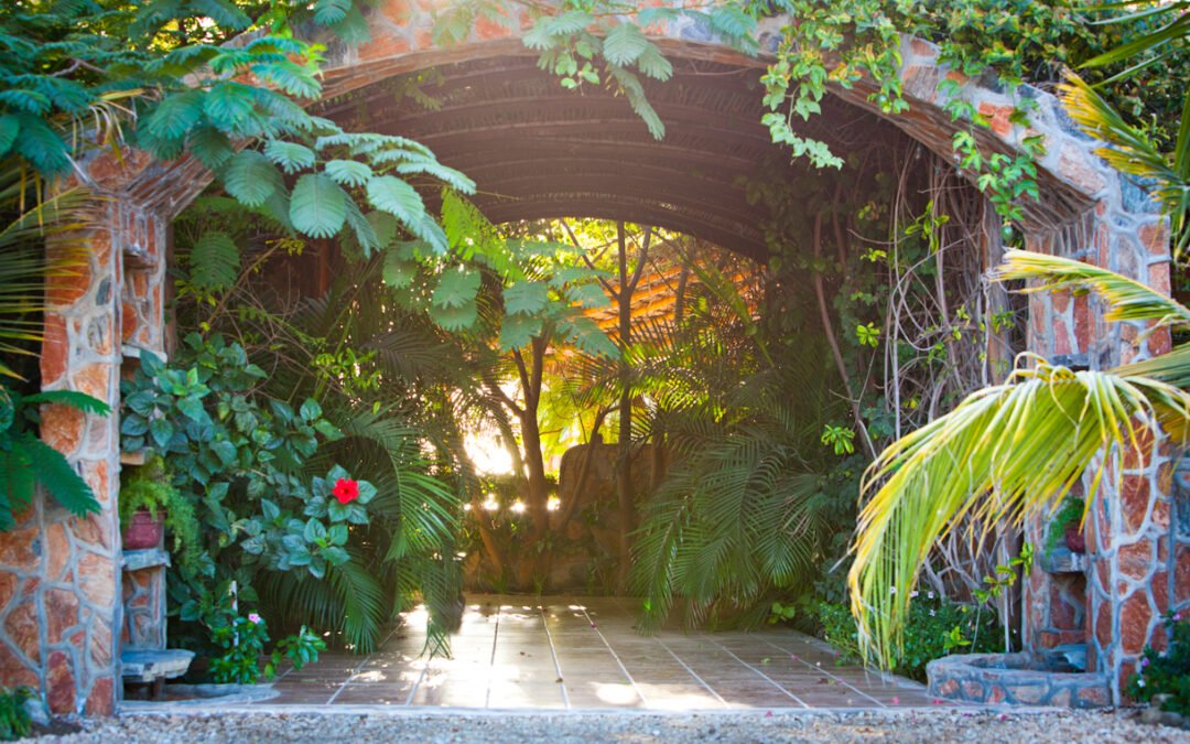 Boutique Hotels vs. Vacation Rentals in Todos Santos: Which One Unlocks Your Next Getaway?