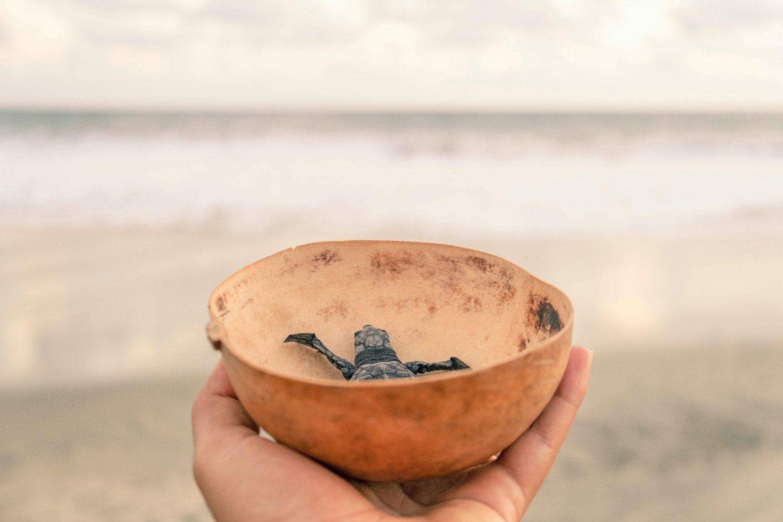 pexels-carlosdetrip-11564085