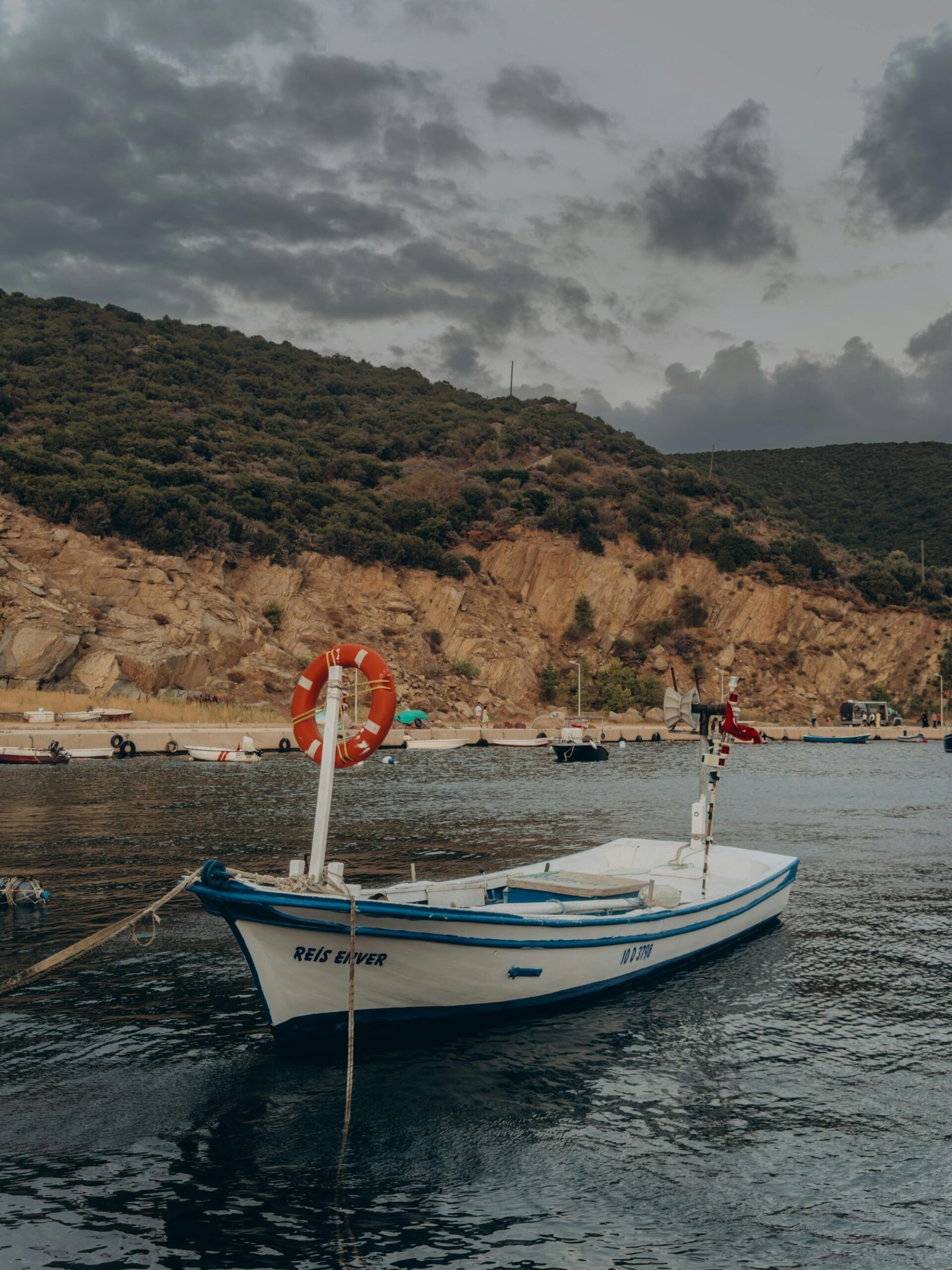 pexels-ftmglgkhn-34240771